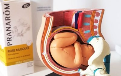 MASSATGE PERINEAL